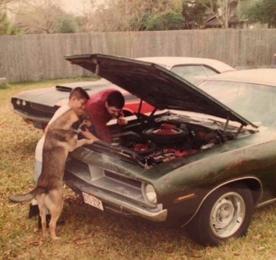 4fc4e50c74b59e48dce28a2356354bd2.jpg (106.09 KiB) 17515 mal betrachtet 4fc4e50c74b59e48dce28a2356354bd2.jpg